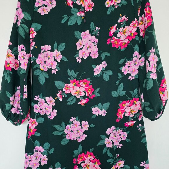 Ann Taylor Shift Dress, Size 0 (NWT) - Picture 5 of 5